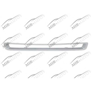bumper grille frame