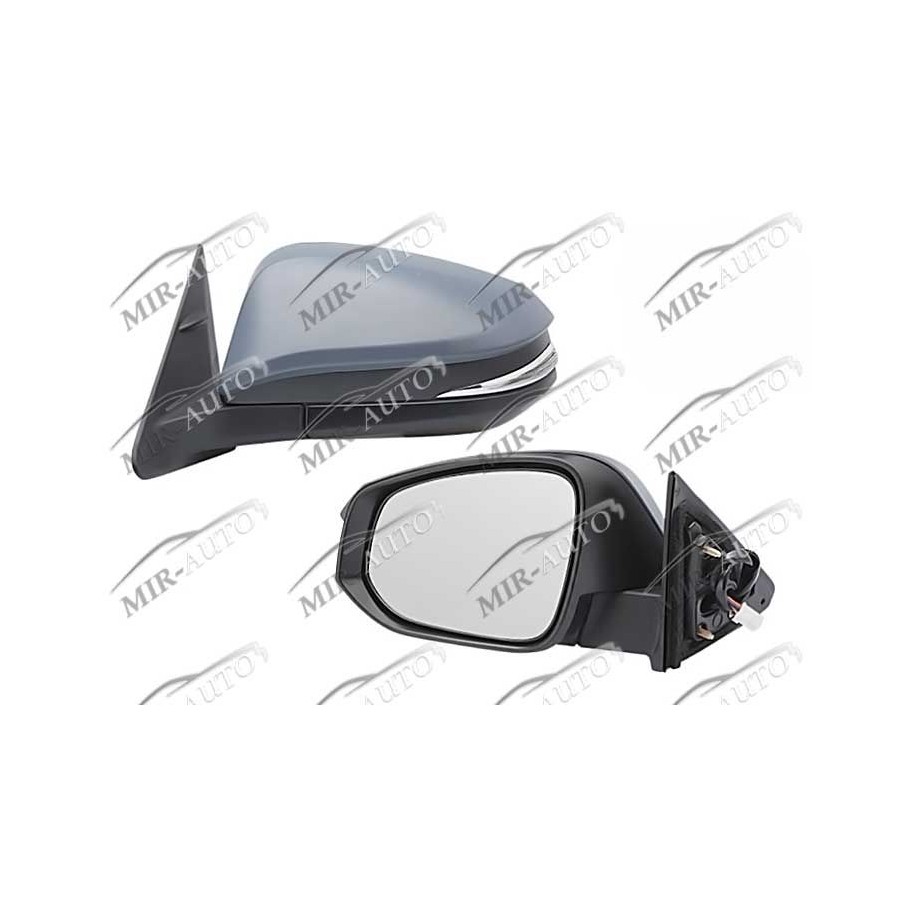 Door mirror