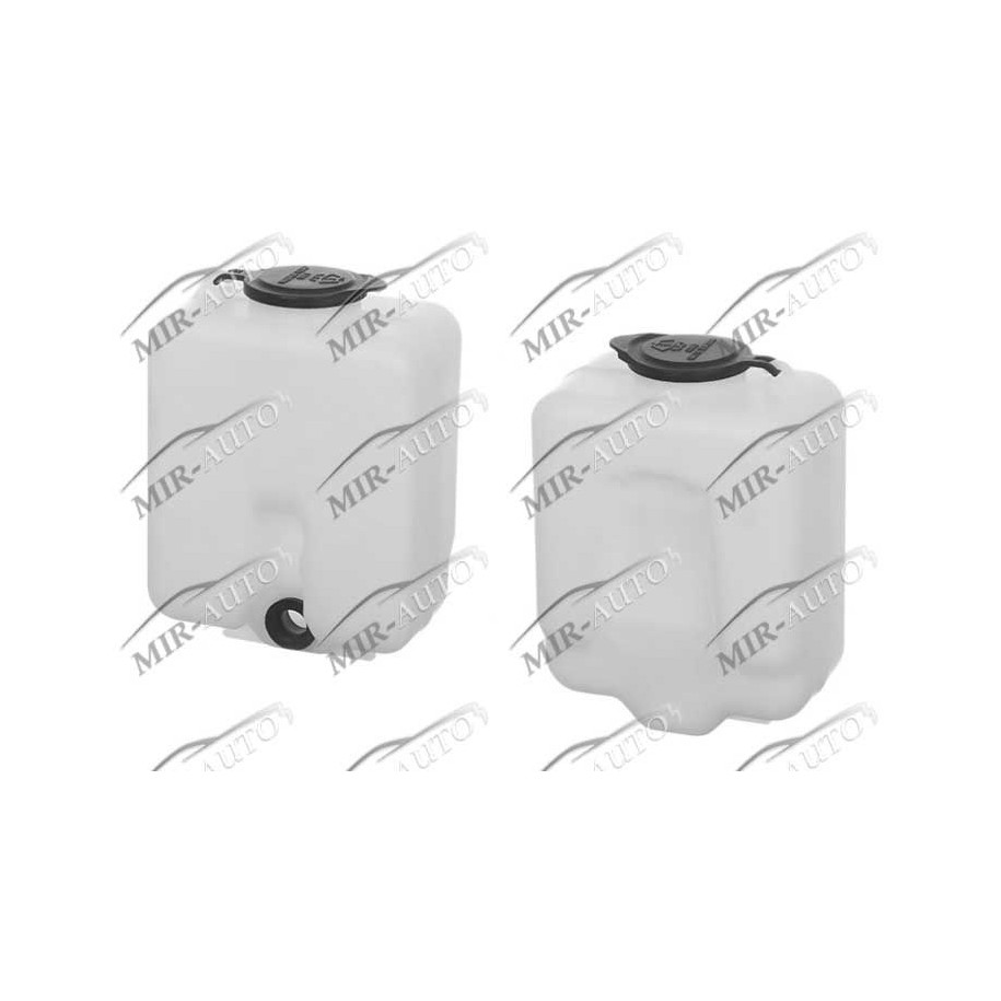 Windscreen washer tank