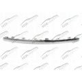 Bumper moulding