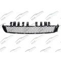 Bumper grill