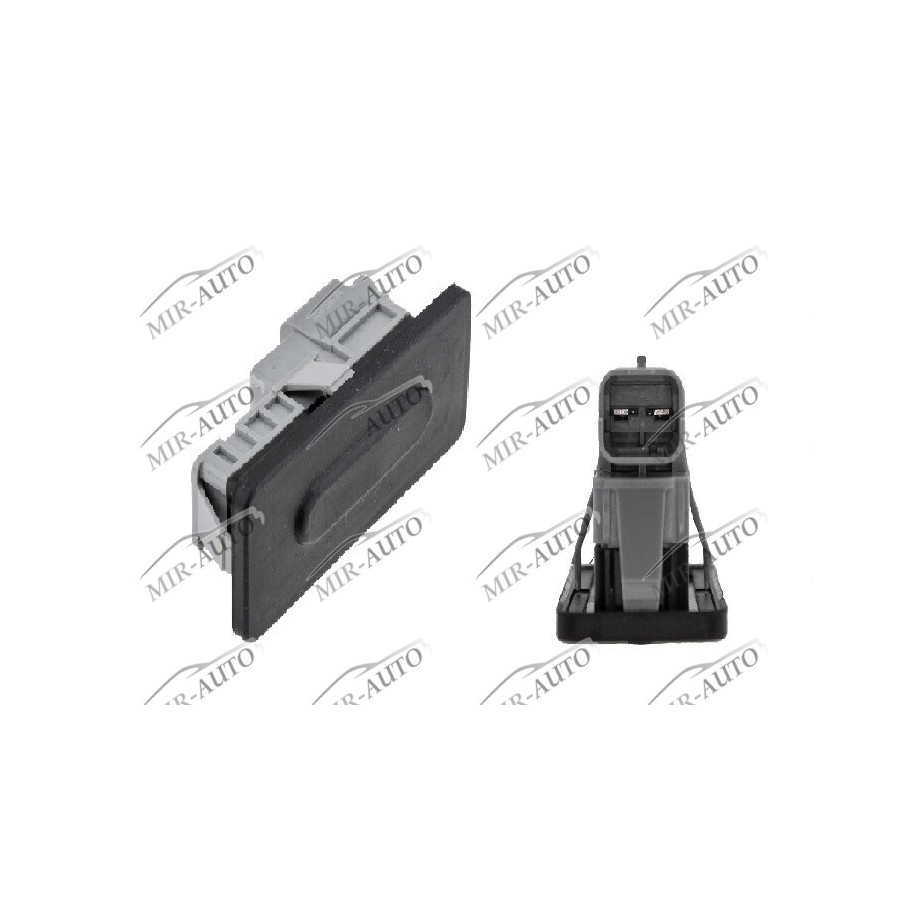 Tailgate handle with switch