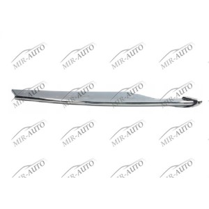 Bumper grill moulding