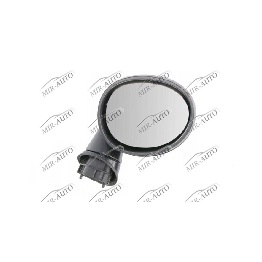 Door mirror