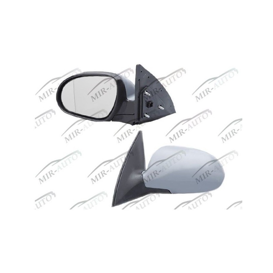 Door mirror