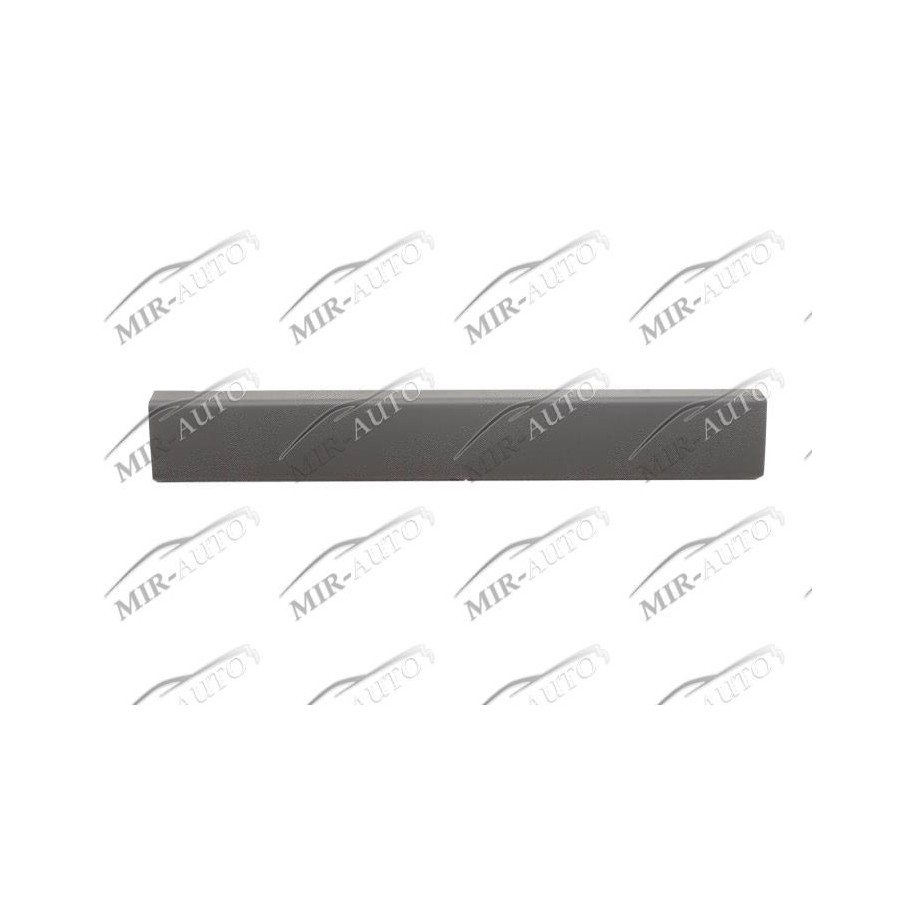 Rear Door Moulding