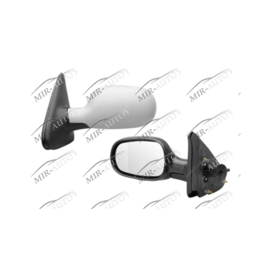 Door Mirror