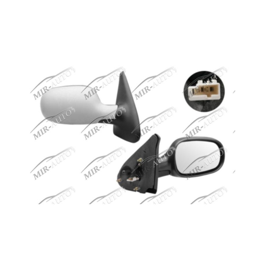 Door Mirror