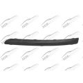 Bumper Moulding