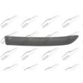 Bumper Moulding