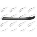 Bumper Moulding