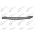 Bumper Moulding