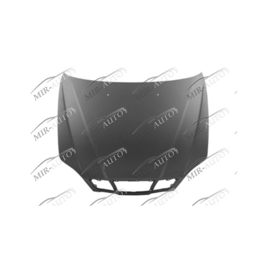 Bonnet