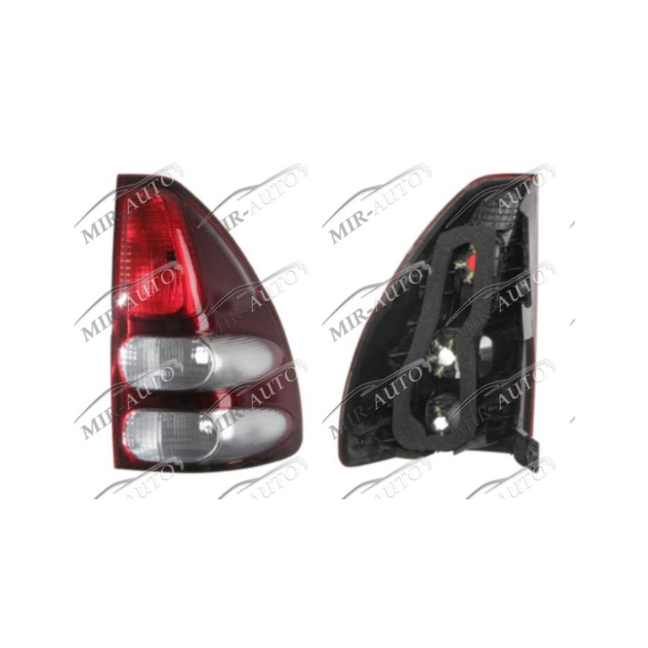 Tail Light