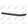 Bumper Moulding