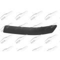 Bumper Moulding