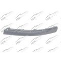 Bumper Moulding