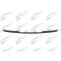 Bumper Moulding
