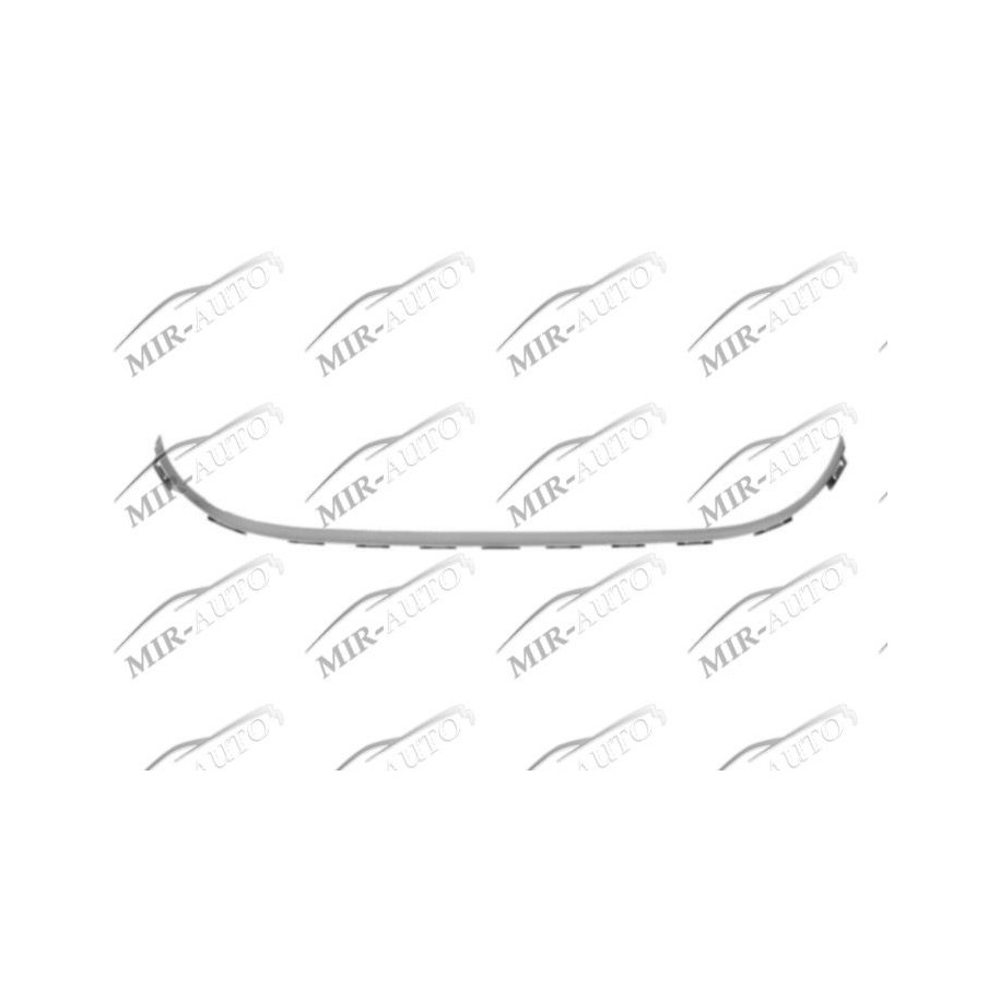 Bumper Grill Moulding