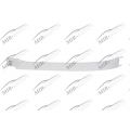 Headlamp Moulding