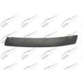Bumper Moulding