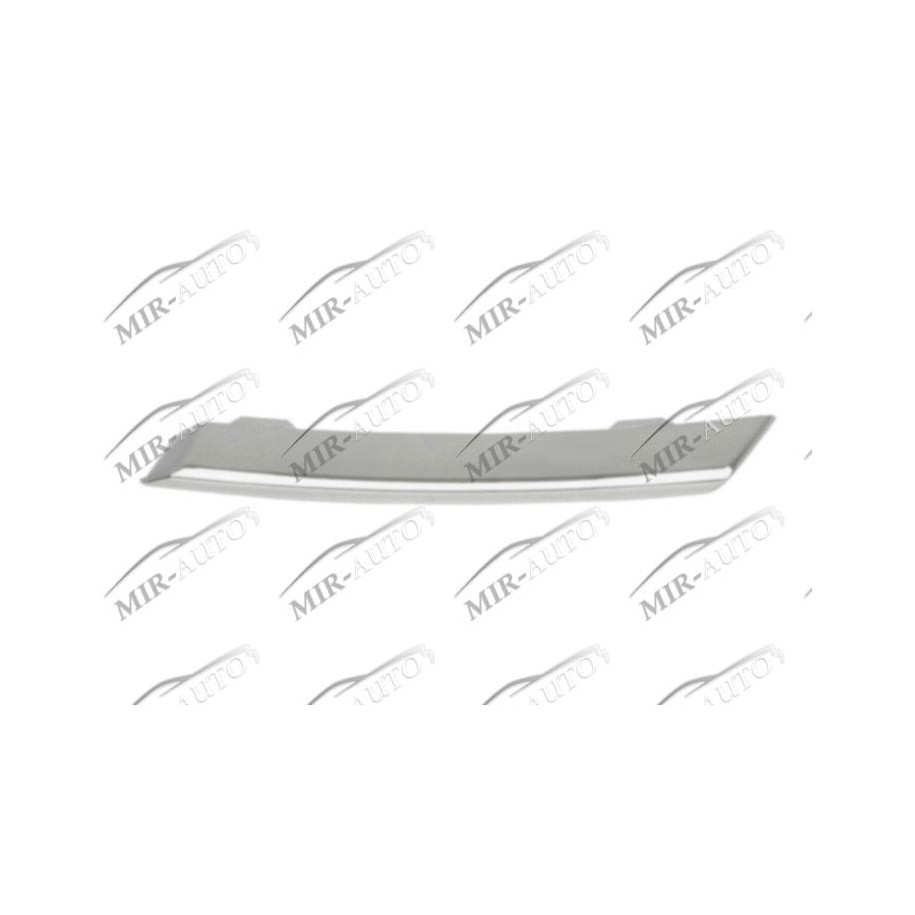 Bumper Grill Moulding