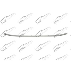 Bumper Grill Moulding