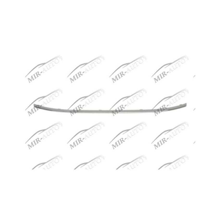 Bumper Grill Moulding