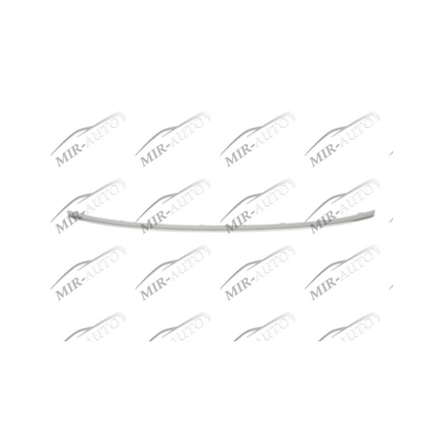 Bumper Grill Moulding