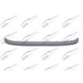 Bumper Moulding