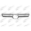 Grill Moulding