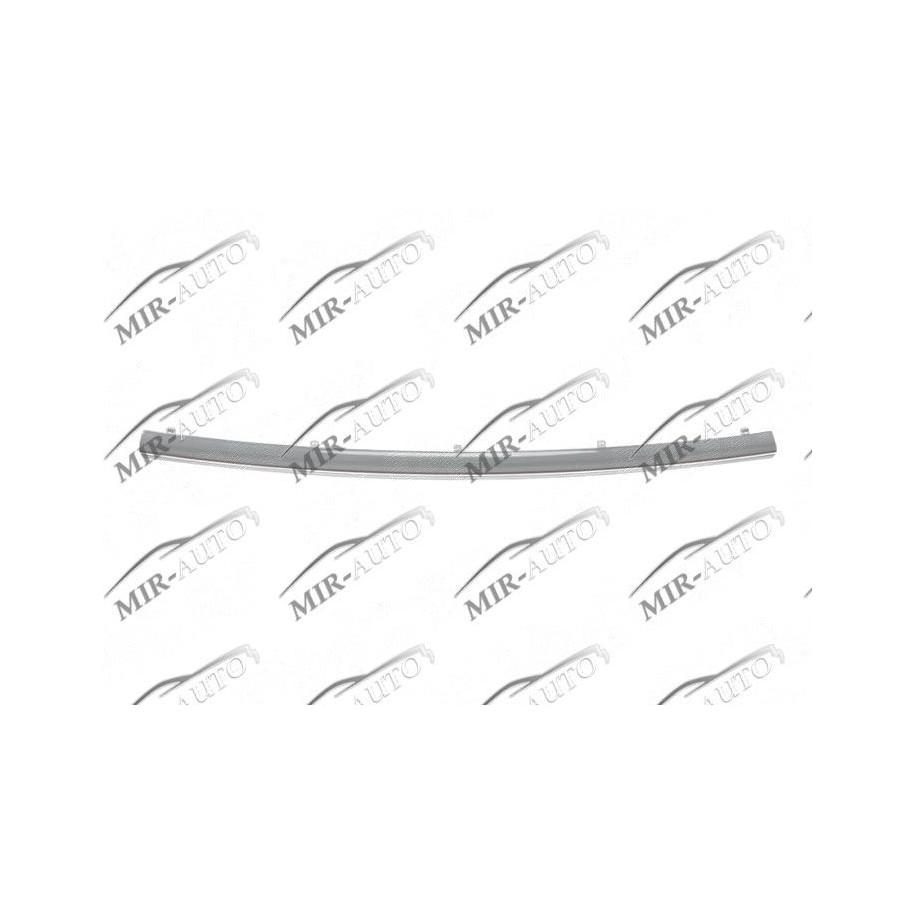 Bumper Grill Moulding