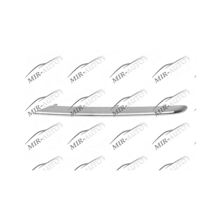 Bumper Grill Moulding