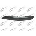 Bumper Moulding