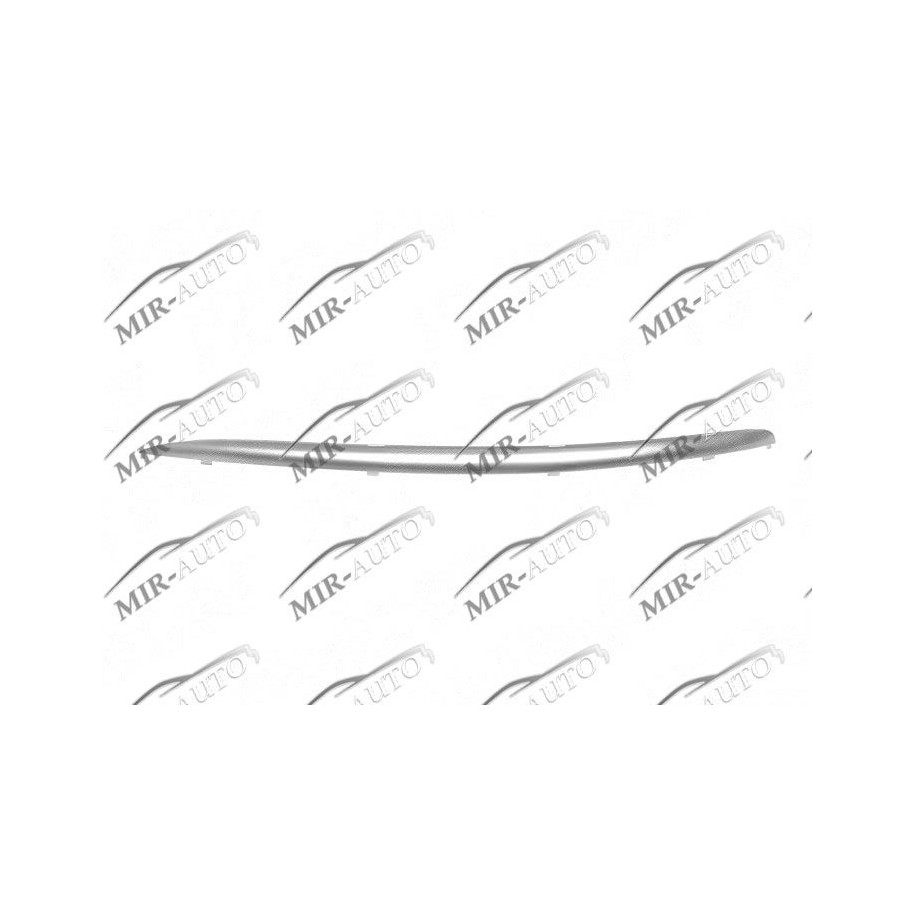 Bumper Grill Moulding